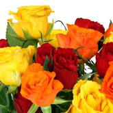 Sunset Roses