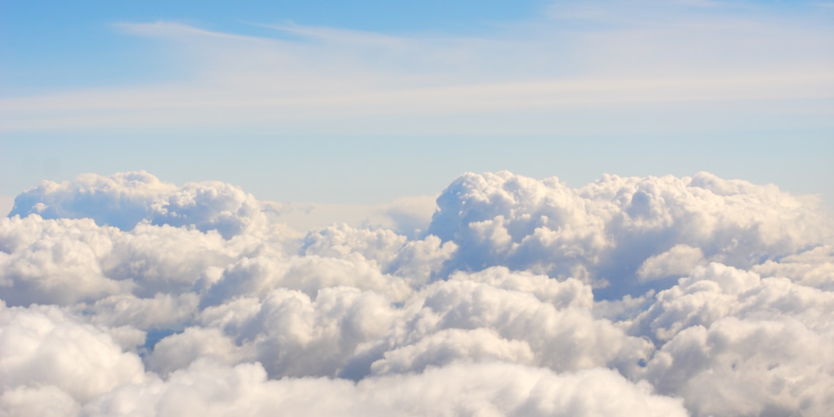 Sky Paradise